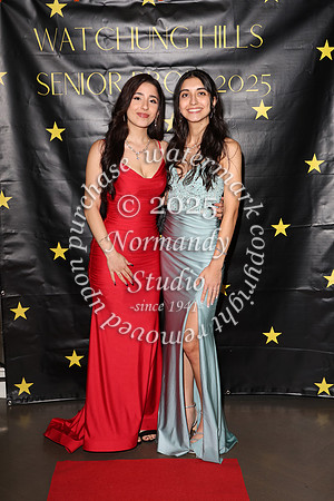 WTG_sr_prom_060