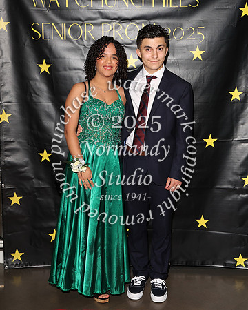 WTG_sr_prom_039