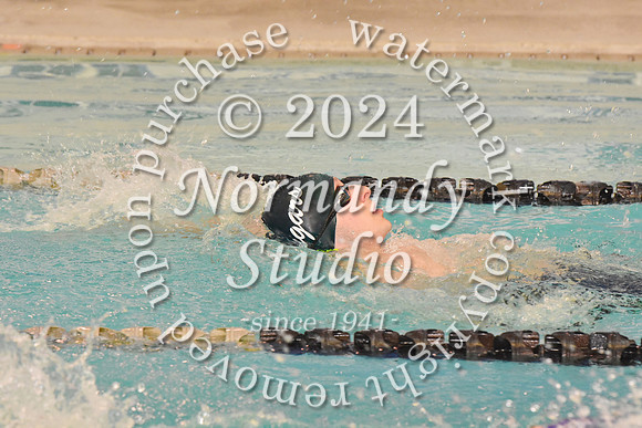 CNH_sw-b_42