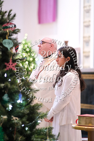 MSM_tree lighting_12