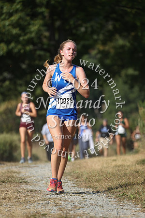 WHS_cc-g_46