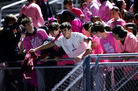 SPF_fans_12