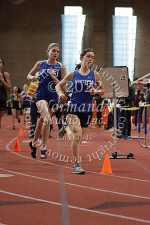 WHS_58_wt-g