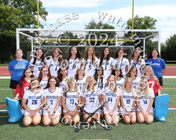 WHS_fh-v-t_398