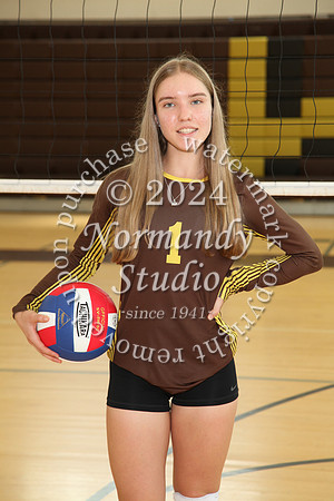 WTG_vb-g-j-ind_15