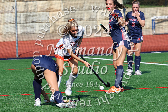 SVL_fh_38
