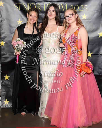 WTG_sr_prom_045