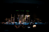 WMC_013_mus