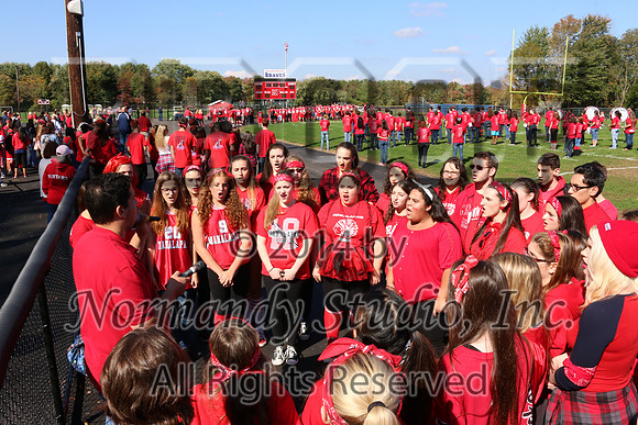 MNP_071_pr
