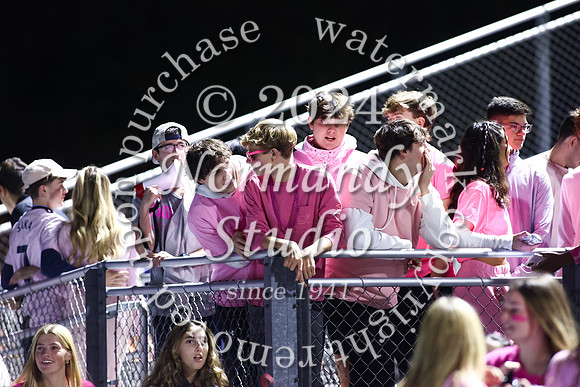 SPF_fans_21