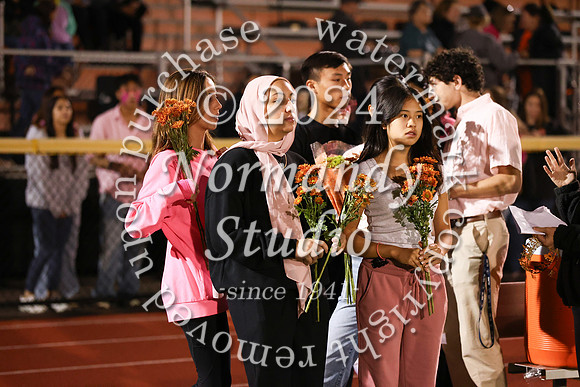 SVL_hc court_64