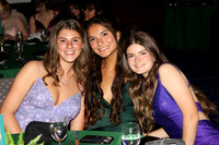 SVL_jr_sr_prom_167
