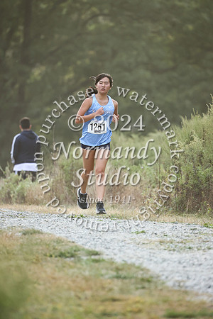 WMC_cc-g_21