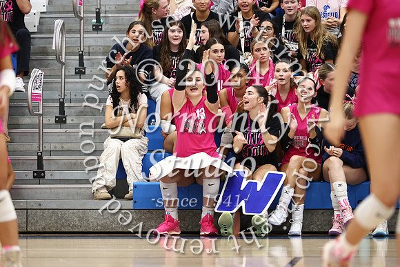 WHS_vb-pink out_53
