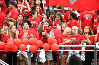 LIB_fb-fans_18
