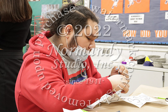 MNP_slc_027