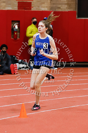WHS_61_wt-g