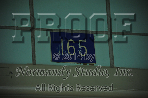 WHS_038_slc