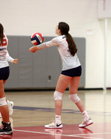 LIB_vb-g_10