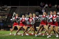 MNP_dt_19