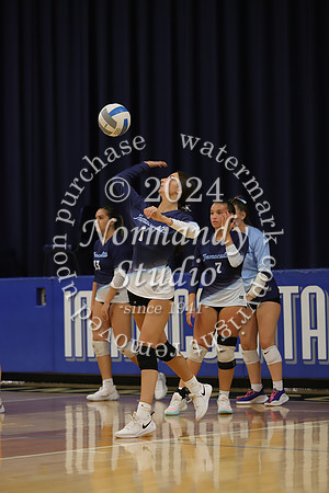 IMC_vb-g_41