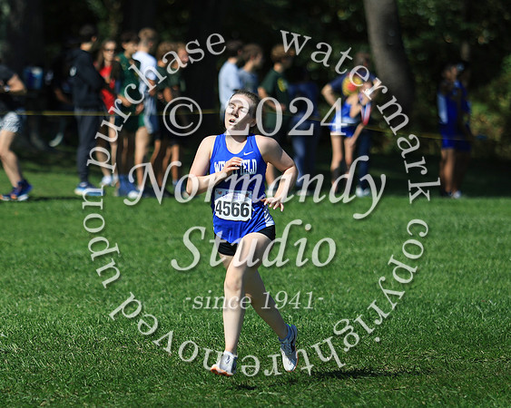 WHS_cc-g_29