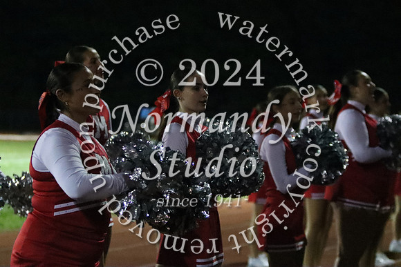MNP_dt_03