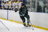 ICE HOCKEY