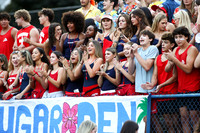 CHS_fans_04