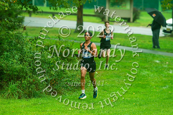 SVL_cc-b_28