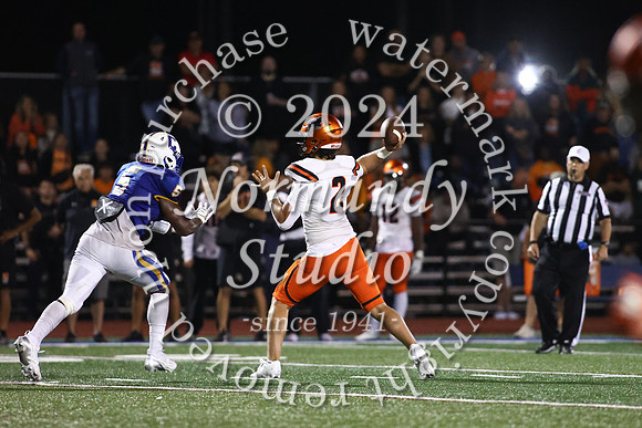 SVL_fb_37