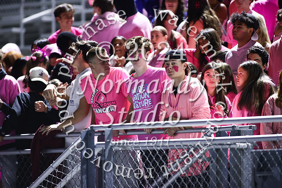 SPF_fans_16