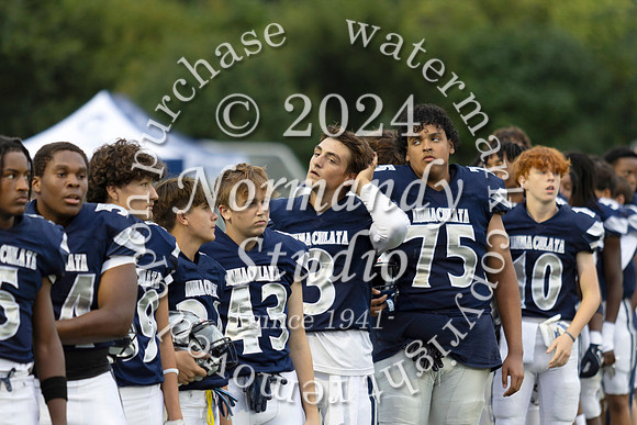 IMC_fb_30