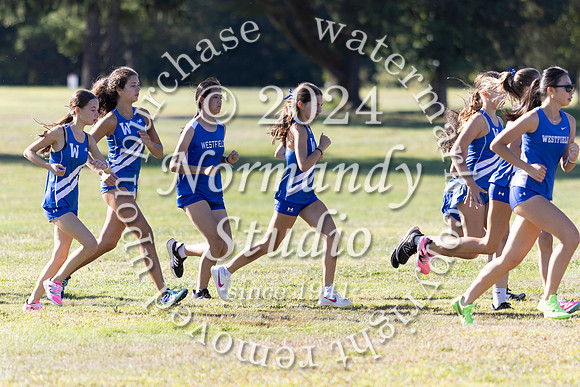 WHS_cc-g_01