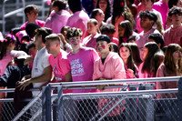 SPF_fans_15