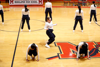 MNP_dt_002
