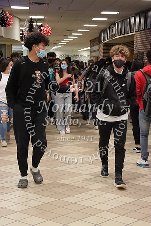 JAC_333_slc