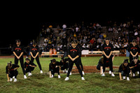 MNP_dt_14