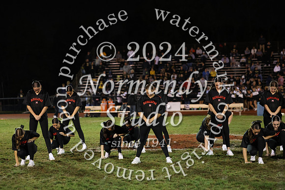 MNP_dt_14