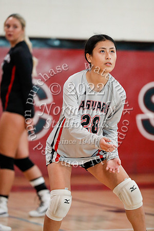 JAC_vb-g_24