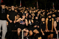 MNP_fans_06