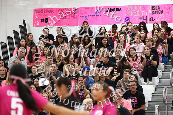 WHS_vb-pink out_60