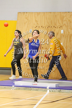 WHS_tr-g_02