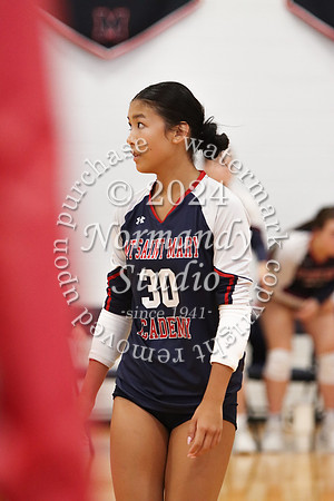 MSM_vb-g_43