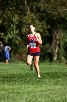 MSM_cc-g_13