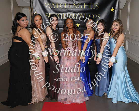 WTG_sr_prom_013