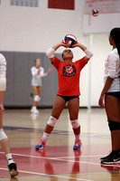 LIB_vb-g_01
