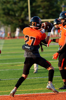 SVL_fb_19