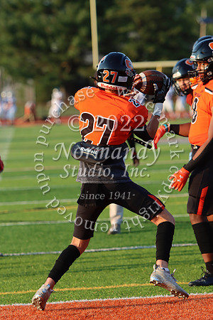 SVL_fb_19