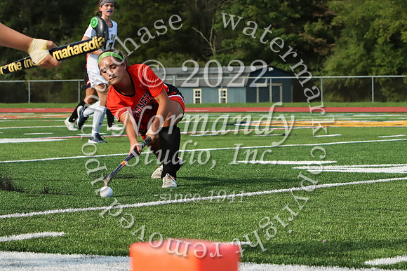 SVL_fh_31